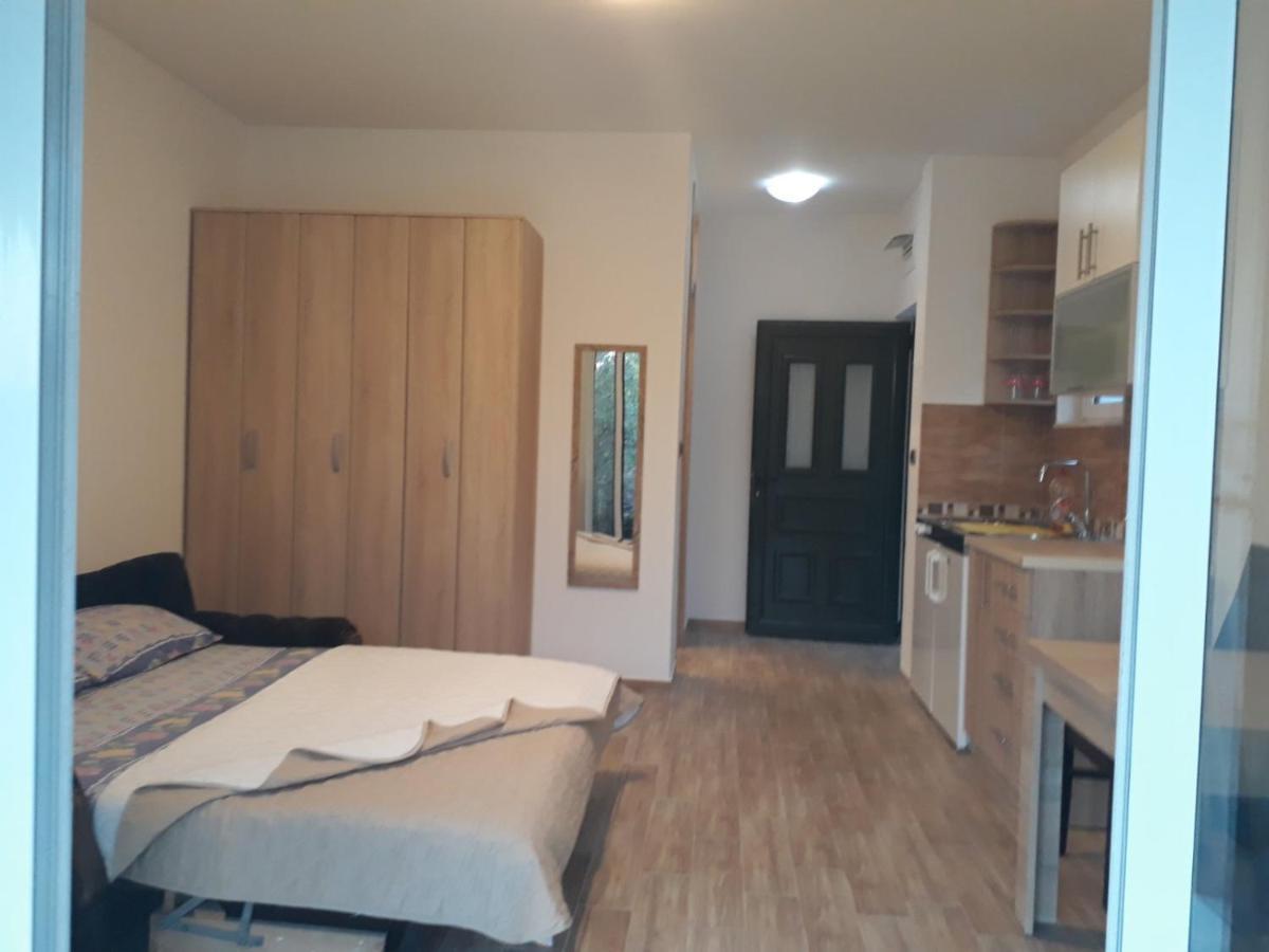 Apartmani Andrea Studio 赫尔采格诺维 外观 照片
